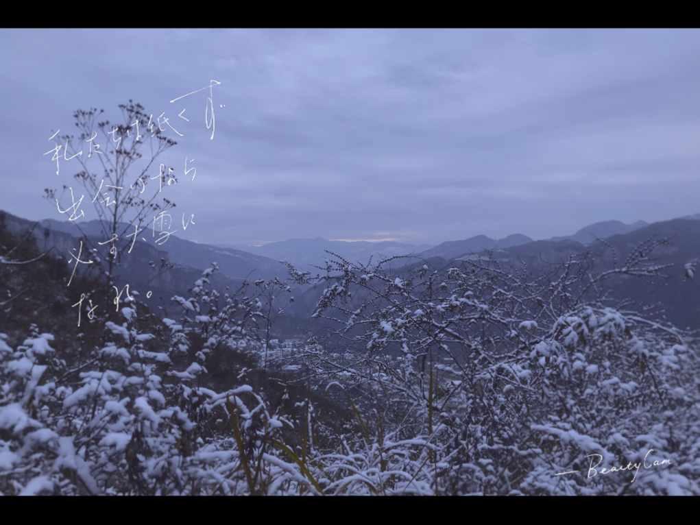 夏季穿半身裙时该怎么搭配上衣？穿什么颜色的最好？游戏画面